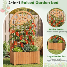 Wooden Raised Garden Bed with Trellis (1 or 2-Pack) product image