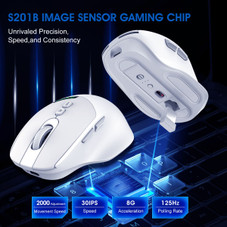 2.4G+BT Dual Mode Wireless Mouse product image