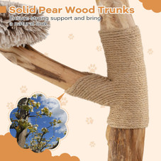 Modern Cat Tree with Pear Wood Trunks and Scratching Posts product image