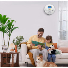Smoke and Carbon Monoxide Detector (2-Pack) product image