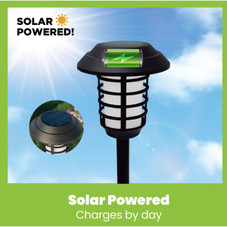 Bell + Howell Solar Powered Pathway Lights (2-Pack) product image