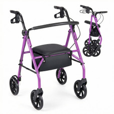 2-in-1 Rollator Walker product image