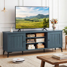 2-Door TV Stand  product image