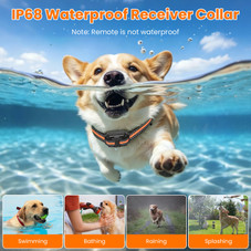 Dog Training Collar with Remote (1 or 2 Collars) product image