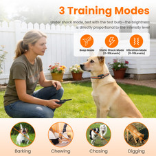 Dog Training Collar with Remote (1 or 2 Collars) product image