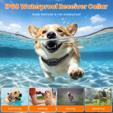 2-in-1 Wireless Dog Fence and Training System (1 or 2 Collars) product image