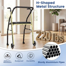  Folding Mobility Walker product image