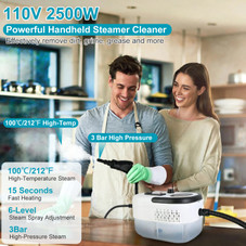 Handheld High Temperature Steam Cleaner product image