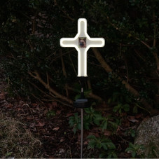 Solar Neon LED Garden Stake Light product image