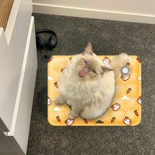 Refillable Pet Cooling Mat product image