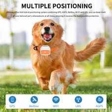 4G Pet Gps Tracker With Real-time Positioning,long Standby Geofence Alerts Multi-band Waterproof Locator For Dogs Outdoor Pets Size L product image