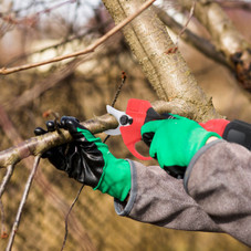 Cordless Electric Pruning Shears  product image