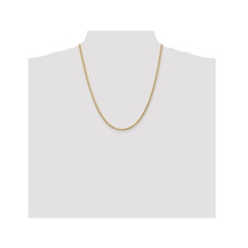 22" 14K Yellow Gold Diamond-Cut Rope Chain Necklace (3.00 mm) product image