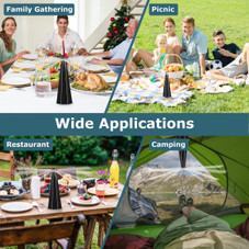 Holographic Fly Repellent Fan (4-Pack) product image