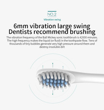 Sonic Adult Electric Toothbrush  product image