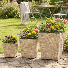 Tapered Rattan Planters (Set of 3) product image