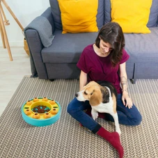 Interactive Dog Food Puzzle Feeder product image