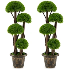 Artificial Cypress Topiary Tree (1- to 2-Pack) product image
