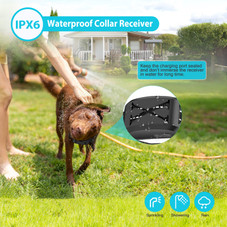 Wireless Dog Fence and Training Collar product image