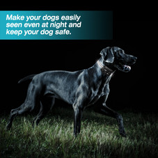 Wireless Dog Fence and Training Collar product image