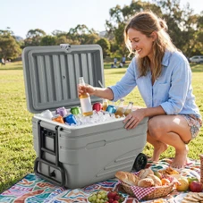Portable Wheeled Ice Cooler product image
