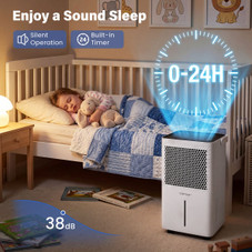 Portable Dehumidifier  product image