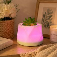 Water-Free Succulent Aroma Diffuser product image