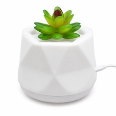 Water-Free Succulent Aroma Diffuser product image