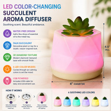 Water-Free Succulent Aroma Diffuser product image