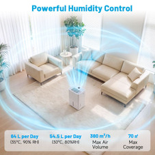 Dehumidifier with Drain Hose  product image