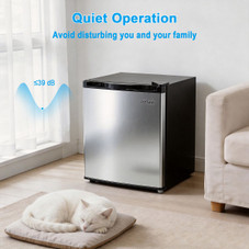 Mini Fridge with Chiller Compartment product image