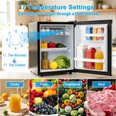 Mini Fridge with Chiller Compartment product image