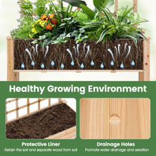 Wooden Raised Garden Bed with Trellis  (Pack of 1 or 2) product image