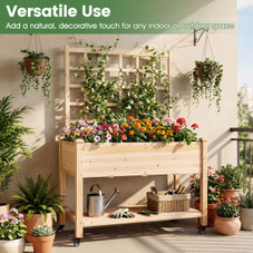Wooden Raised Garden Bed with Trellis  (Pack of 1 or 2) product image