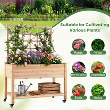 Wooden Raised Garden Bed with Trellis  (Pack of 1 or 2) product image