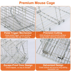 Foldable Humane Mouse and Rat Live-Catch Cage  product image