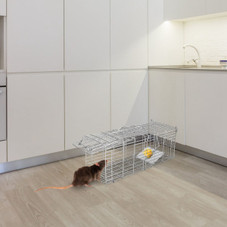 Foldable Humane Mouse and Rat Live-Catch Cage  product image