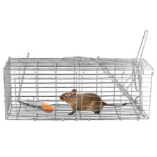 Foldable Humane Mouse and Rat Live-Catch Cage  product image