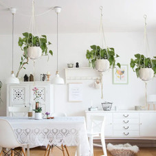 Macrame Plant Hangers product image