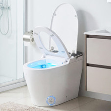 ADA Height Electric One-Piece Toilet with Multiple Flushing Options product image