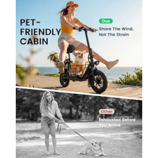 550W C1S Electric Scooter with Adjustable Seat and Basket product image