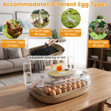 Precision Hatch Pro Egg Incubator  product image