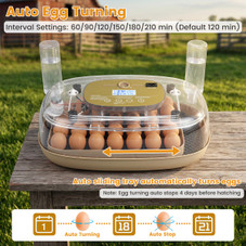 Precision Hatch Pro Egg Incubator  product image