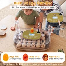 Precision Hatch Pro Egg Incubator  product image