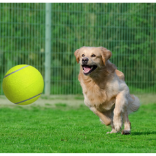 Super Jumbo 9.5-Inch Tennis Ball with Hand Pump product image