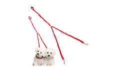 Waloo® Double Dog Bungee Walking Leash product image
