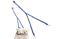 Waloo® Double Dog Bungee Walking Leash product image