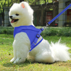 PetLuv™ Mesh Harness Dog Leash Set product image