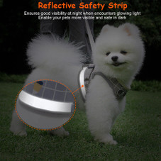 PetLuv™ Mesh Harness Dog Leash Set product image