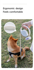 PET (Pooch Excursion Trainer) Leash product image